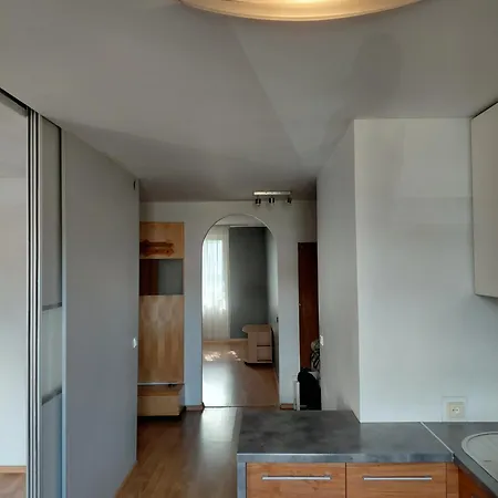 Two-bedroom Flat Close To Downtown *