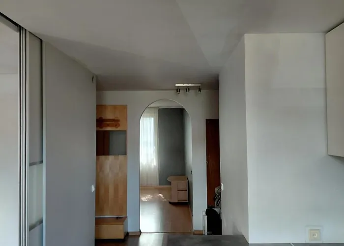 Two-bedroom Flat Close To Downtown *